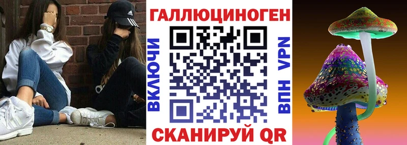 Галлюциногенные грибы Psilocybe  где купить наркоту  Медынь 